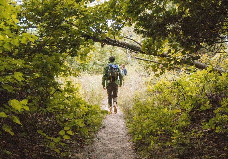 Caminhante em trilha cercada por vegetação verde